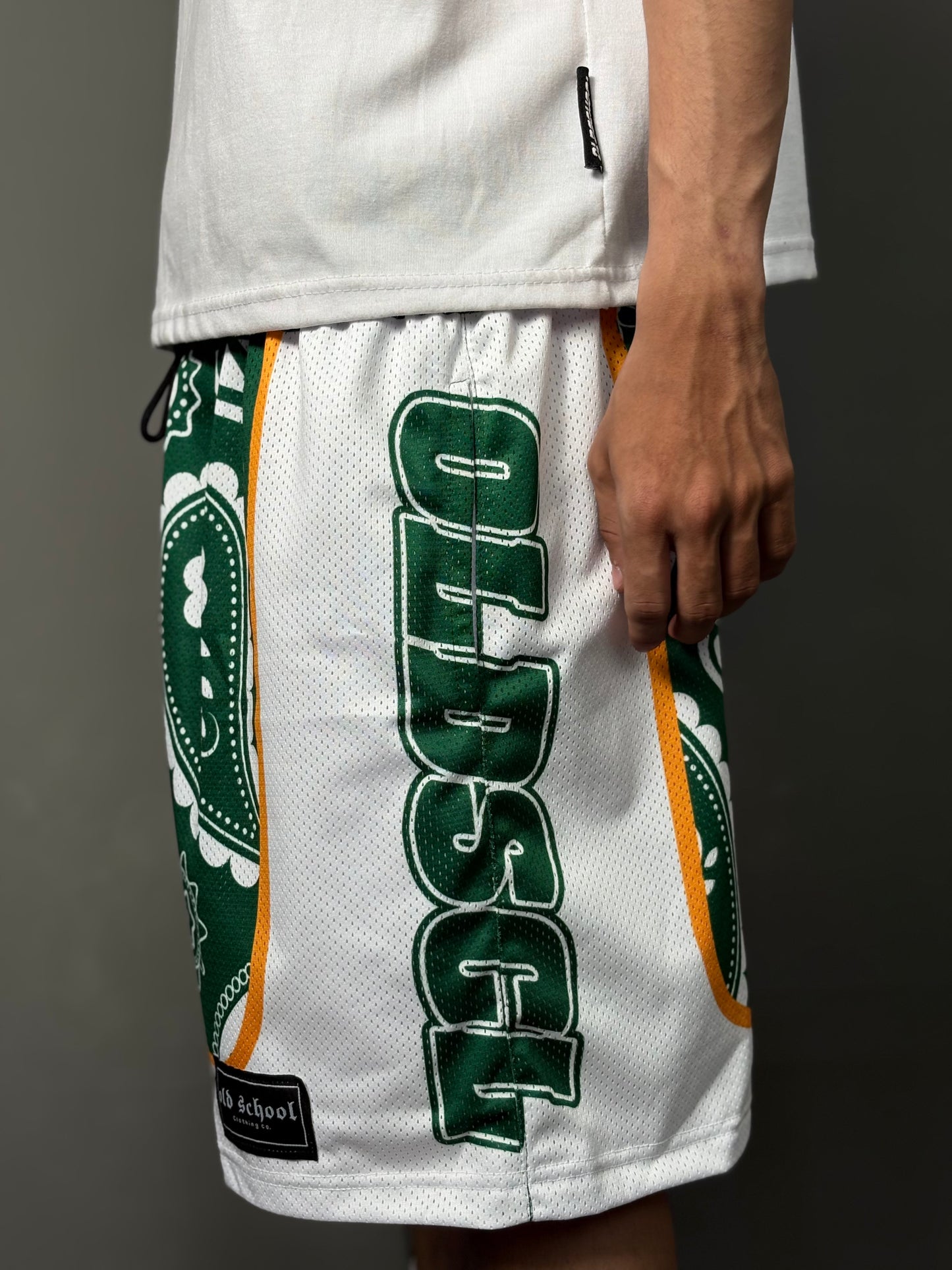 GREEN PAISLEY MESH SHORT